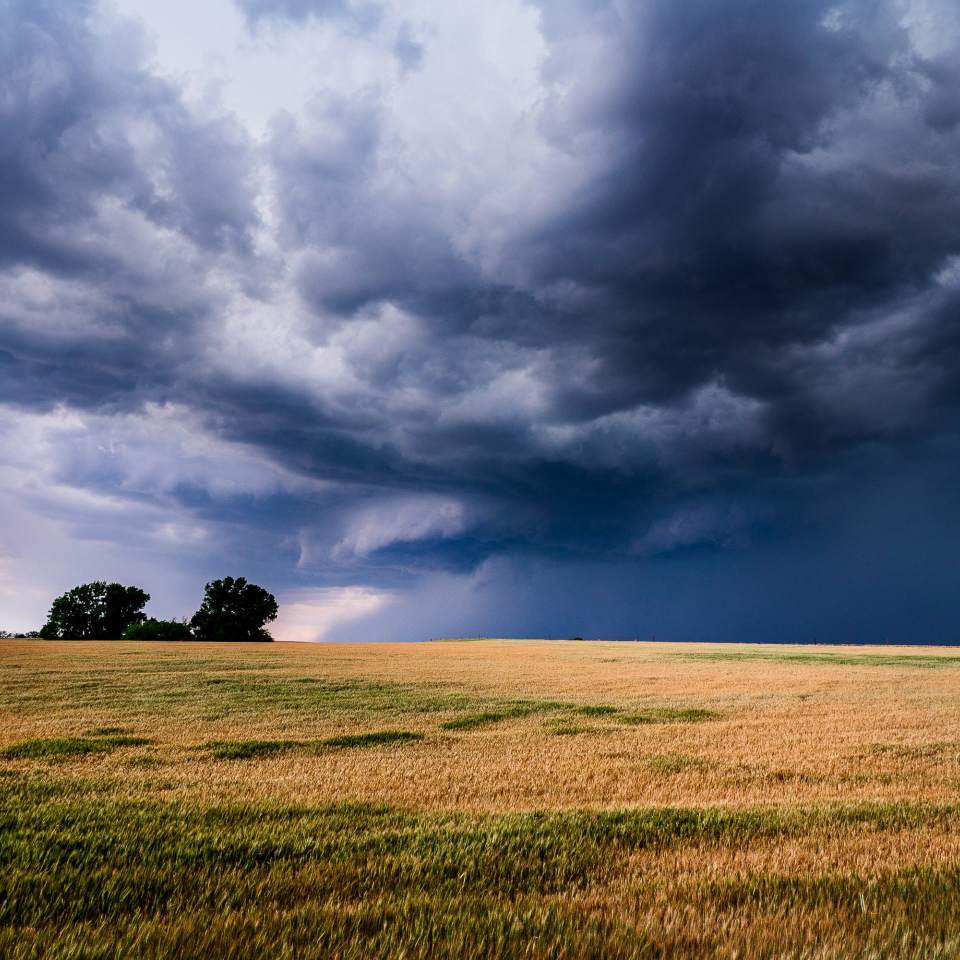 Image for Does the weather affect your vestibular symptoms?