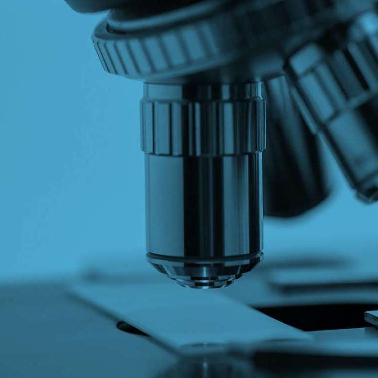 Research Supporter images