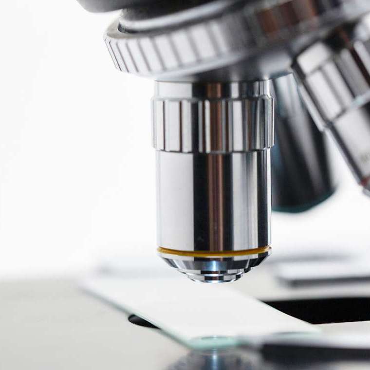 Research Supporter images